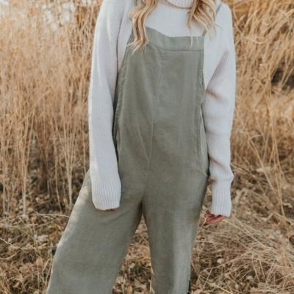 NWOT Overall Jumpsuit!